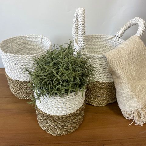 Bring sustainable style and practical organisation into your home with this Seagrass Basket natural white set with plant