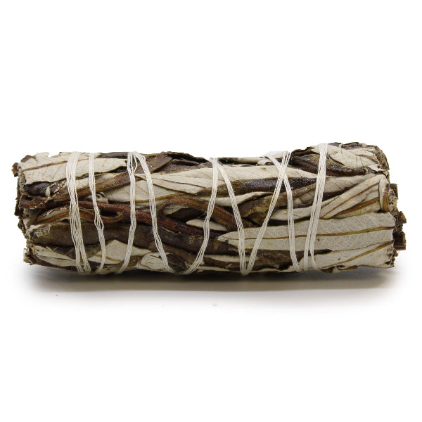 Bundled sage sticks tied with white string on a white background