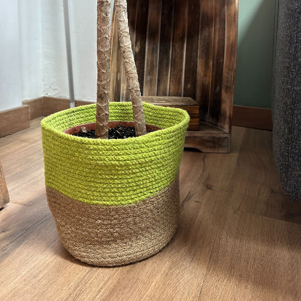 Green and beige woven planter with a plant on a wooden floor.