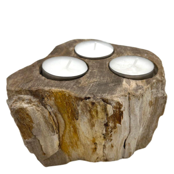 Decorative candle holder made of petrified wood with three candles on a white background