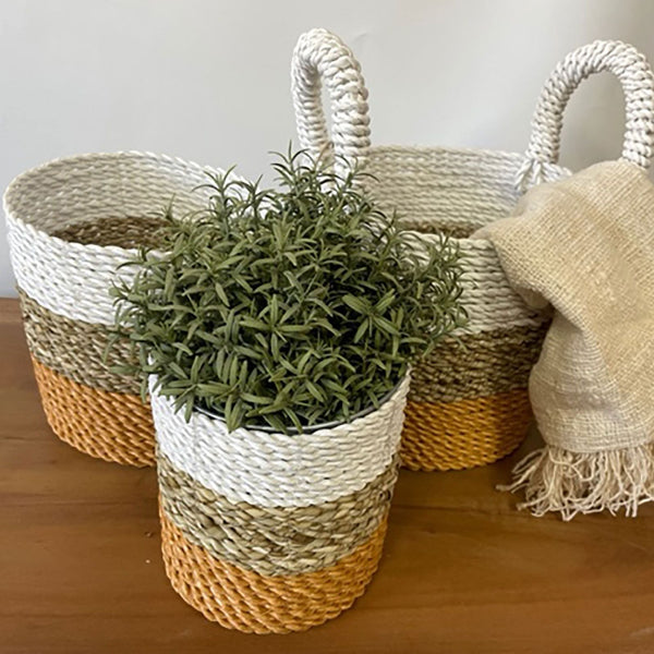 Woven baskets with a plant and blanket on a wooden surface