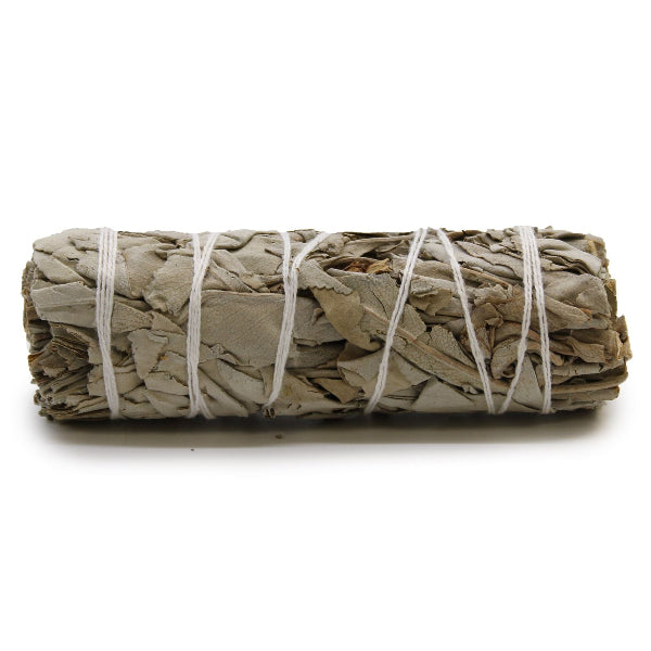 Rolled sage bundle tied with white string on a white background