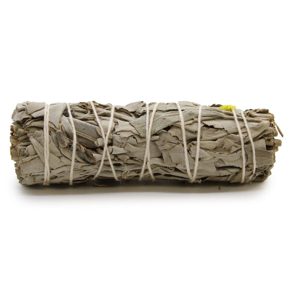 Rolled sage bundle tied with twine on a white background