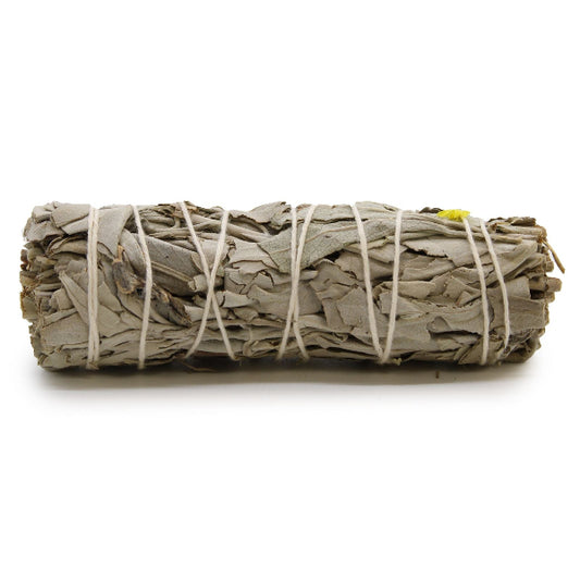 Rolled sage bundle tied with twine on a white background