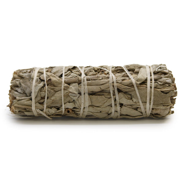 Rolled sage bundle tied with twine on a white background