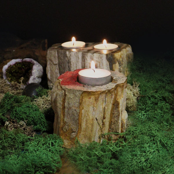 Candles on wooden stumps in a natural setting with moss and rocks.