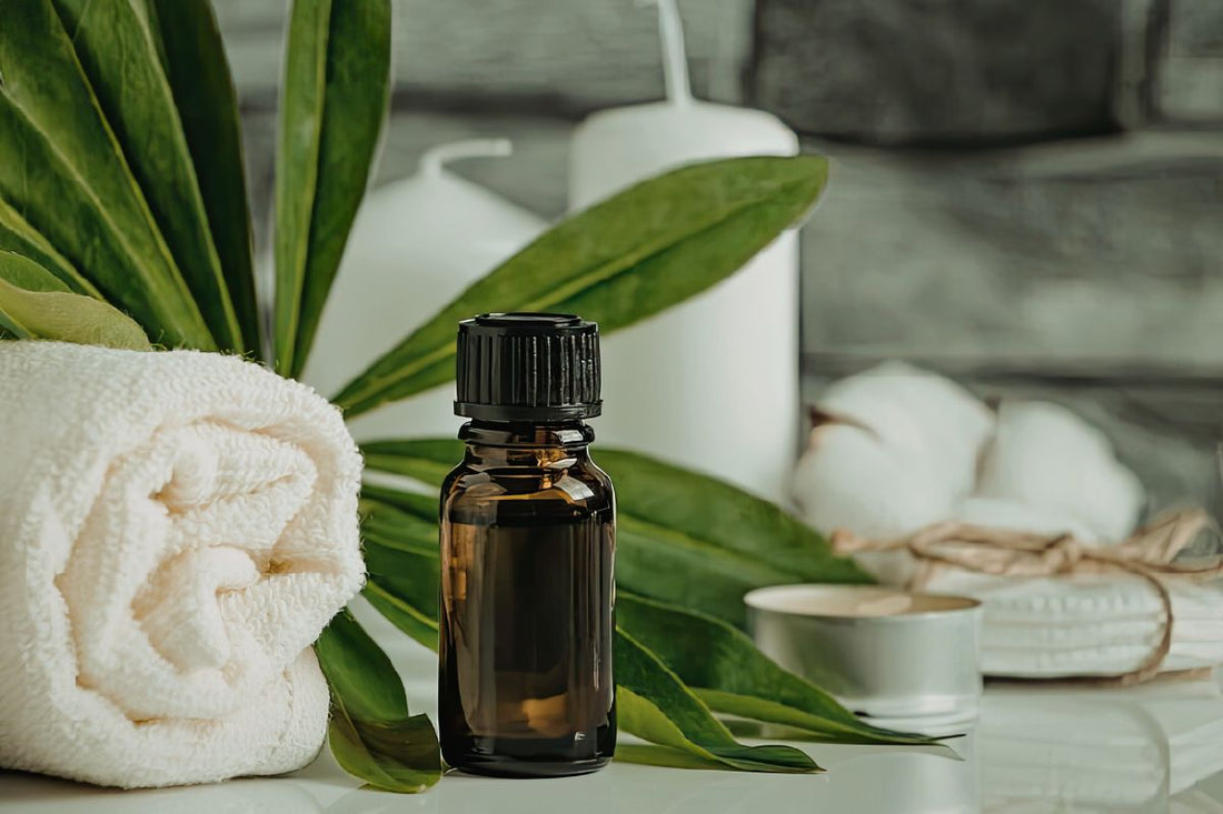 Essential Oils & Aromatherapy: A Complete Beginner's Guide