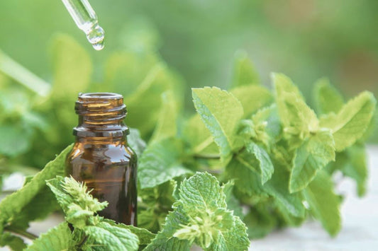 Peppermint Essential Oil Uses: Benefits, Home Remedies & Wellness Tips