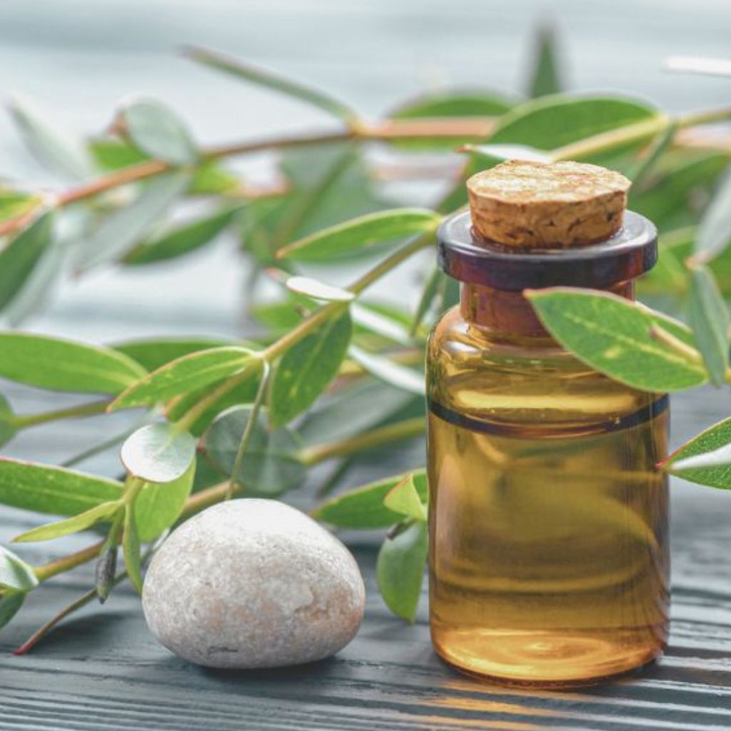 Shop Face Moisturisers including vegan face creams and nourishing face oils made in the UK for hydrated, soft, and naturally radiant skin.