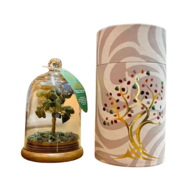 Decorative container with a tree design and a small plant inside a glass dome on a white background
