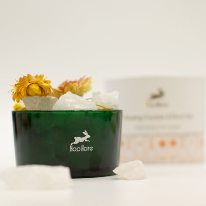 Green container with decorative elements and 'llapllare' logo on a white background