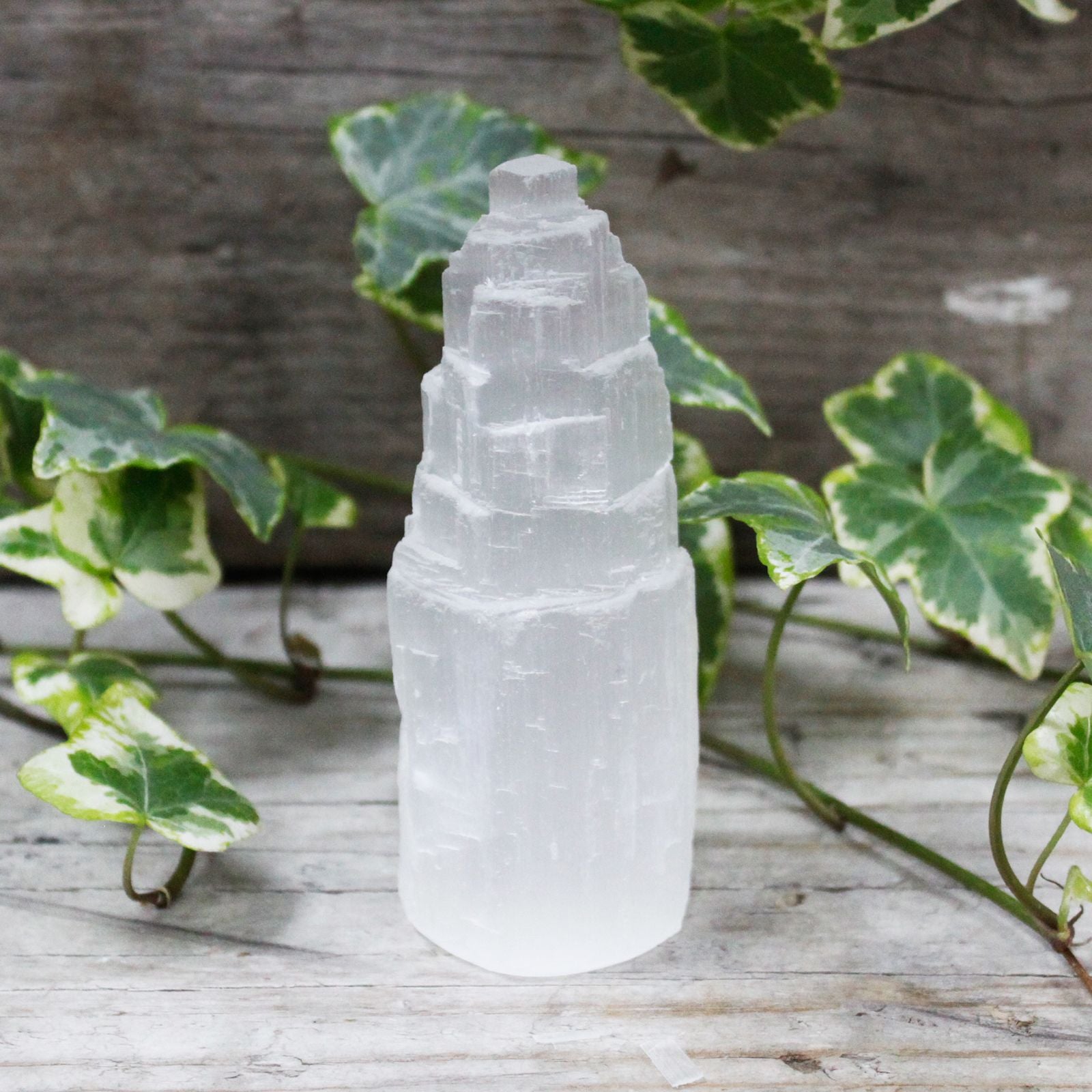 Selenite tower crystal on a wooden surface with green leaves in the background