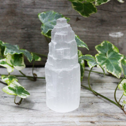 Selenite tower crystal on a wooden surface with green leaves in the background