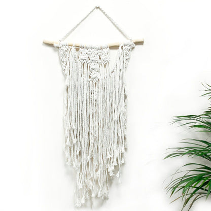 White macrame wall hanging on a white background with a plant on the side