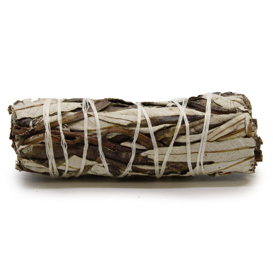 Bundled sage sticks tied with white string on a white background