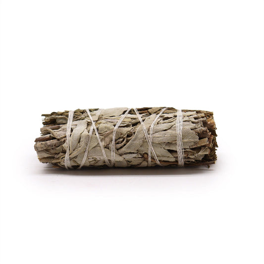 Rolled sage bundle tied with twine on a white background