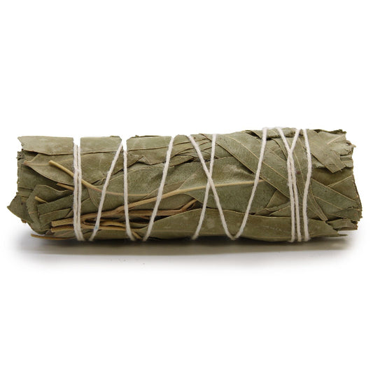 Rolled sage bundle tied with twine on a white background