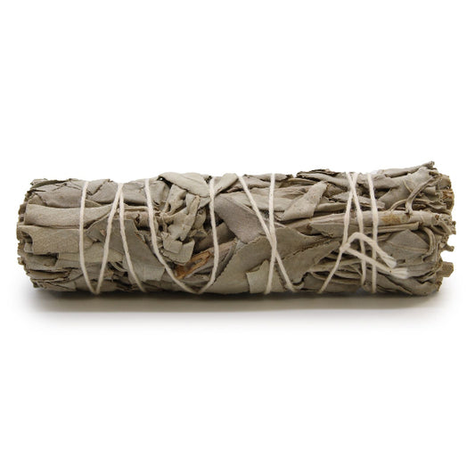 Bundled sage smudge stick on a white background