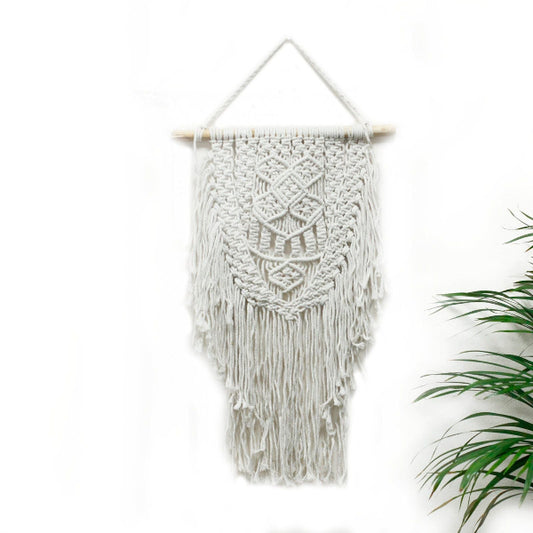 Macrame wall hanging on a white background with a plant on the side
