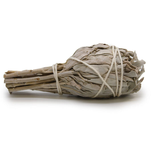 Bundled sage stick on a white background