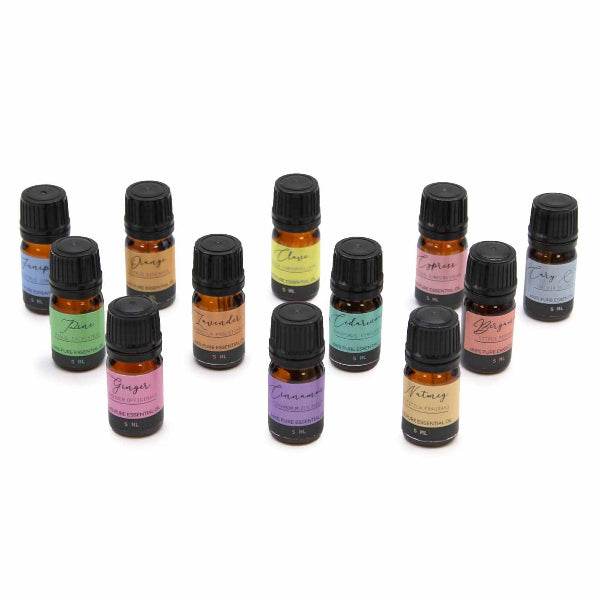 Collection of essential oil bottles with colorful labels on a white background