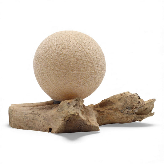 Round beige ball on a piece of driftwood against a white background