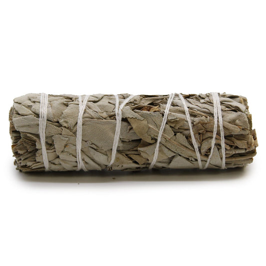 Rolled sage bundle tied with white string on a white background