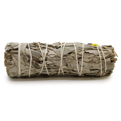 Rolled sage bundle tied with twine on a white background