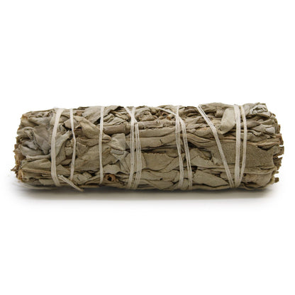 Rolled sage bundle tied with twine on a white background