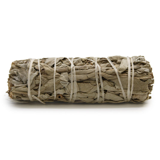Rolled sage bundle tied with twine on a white background