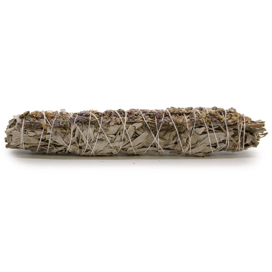 Sage smudge stick on a white background