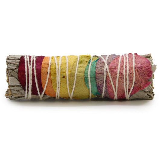 Rolled sage with colorful layers on a white background