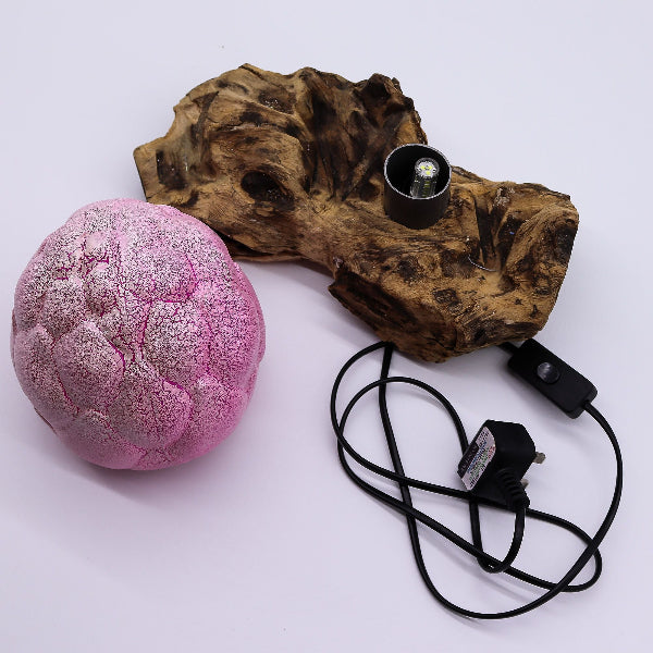 Pink textured ball, wooden block with bulb, and black cord on a white background
