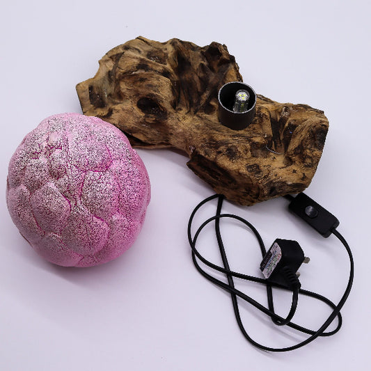 Pink textured ball, wooden block with bulb, and black cord on a white background