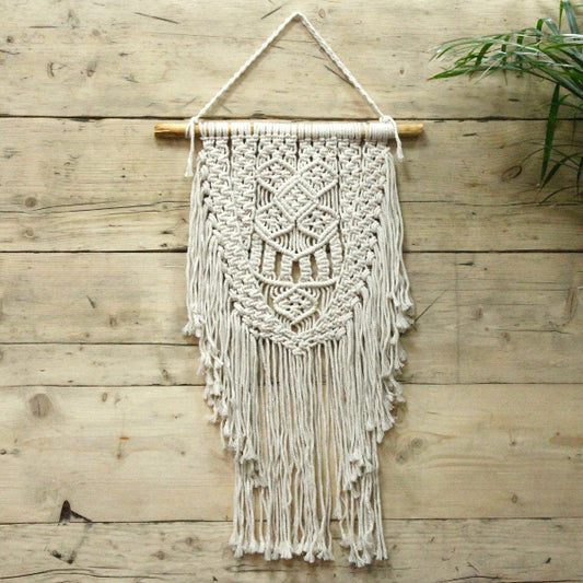 Macrame wall hanging on a wooden wall with a plant in the corner