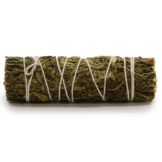 Rolled sage bundle tied with twine on a white background